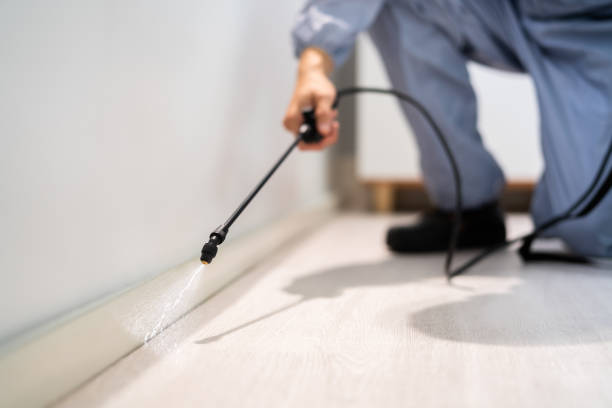Licensed Termite Control service in Torrance, CA - Show Me Pest Control